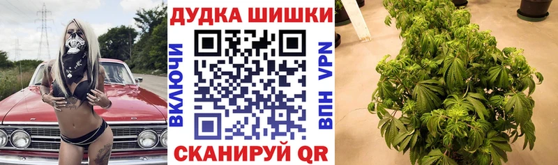 Наркошоп купить МАРИХУАНА  Кокаин  Псилоцибиновые грибы  Меф мяу мяу  ГАШИШ  Череповец