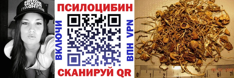 Купить где  Череповец  Псилоцибиновые грибы ЛСД 
